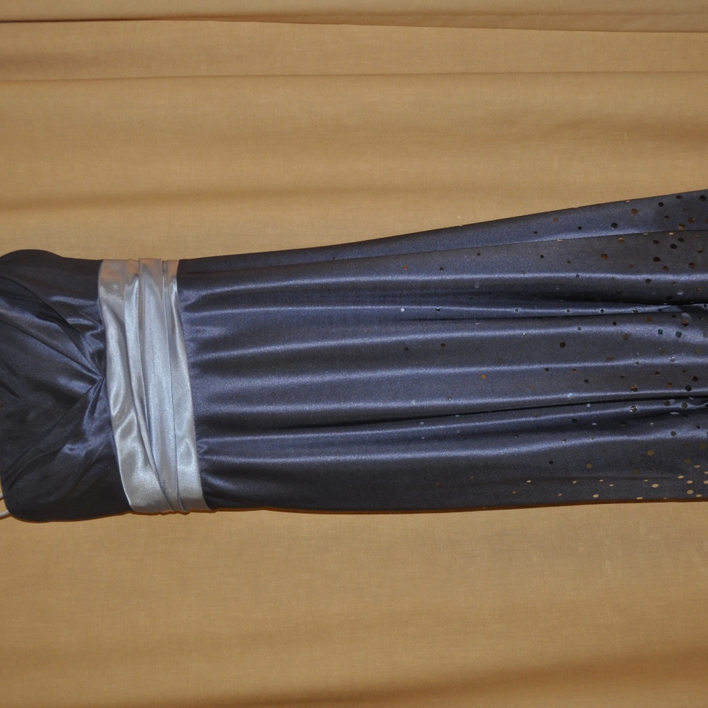 Dress Barn Evening Dress